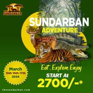 social media post design price in india, social media post design, creative social media post design, designer logo, social media graphic design, social media designer